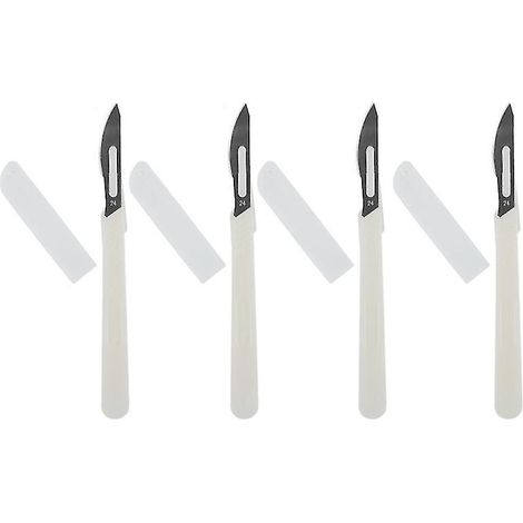4 lames en acier inoxydable (1/3)