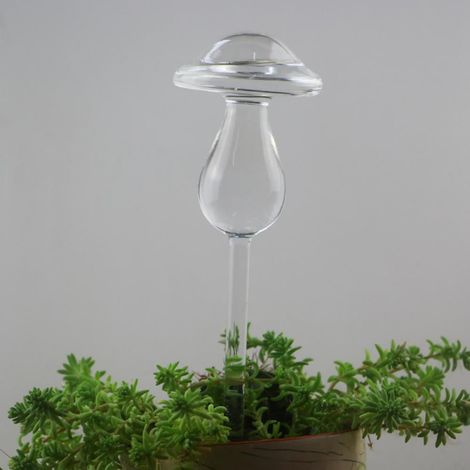 Globe Arrosage Verre - 180 ml - Pour Plantes Intérieures et Extérieures - Autonome Jusqu'à 1 Semaine - 1 Pièce (1/5)