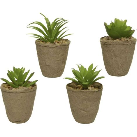 Pianta Grassa Artificiale con Vasetto in Cartone - 6xH8 cm