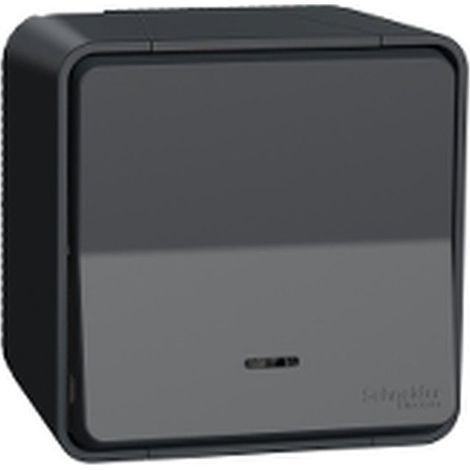 Pulsador MUREVA gris con LED IP55, 10 A y 250 V AC para interiores/exteriores