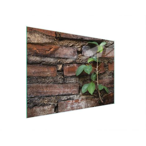 TAGLIERE IN VETRO 30x22 MATTONE (1/5)