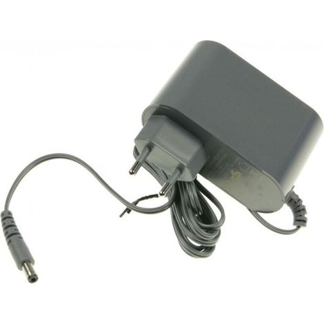 Rowenta Chargeur 29V pour aspirateur X-Force Flex 8.60 Accessoire compatible avec modèles RH9690WO4Q0, RH9695WO4Q0 Performance optimisée pour nettoyage efficace
