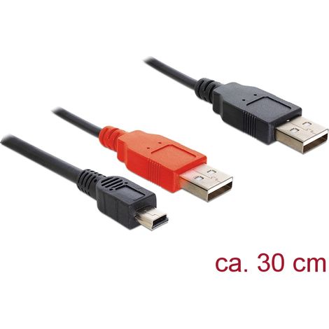 Delock cable 2 x usb 2.0-a male  usb mini 5-pin.30cm