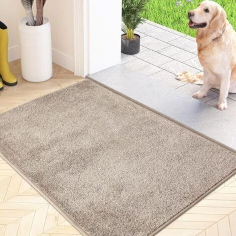 Zerbino antipolvere, antiscivolo, lavabile in lavatrice, con morbide microfibre assorbenti, ideale per cani, ingresso, porta e corridoio, beige, 50 x 80 cm (1/5)