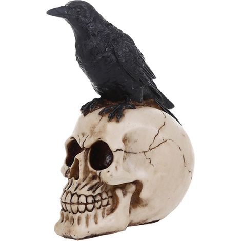 Statue de Corbeau sur Crâne Figurine Gothique Oiseau & Squelette Pièce (1/5)