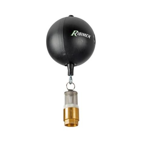Ribimex – Crépine d'aspiration en laiton 1 pouce – Filtre métal pour pompe – Clapet anti-retour – Évite obstruction par sédiments