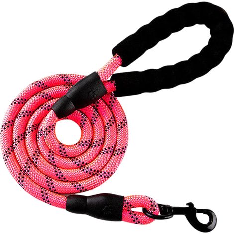 Laisse Chien - 5 M - Poignée Néoprène Rembourrée - Crochets Acier Antirouille - Corde Nylon Résistante - Pour Dressage et Attache Extérieure - 1 Pièce (1/5)