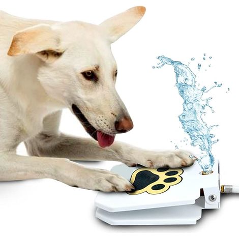 1 Fuente de agua para perros accionada por pedal, dispensador de agua para jardín, manguera de 103 cm incluida, acceso a agua fresca en exteriores. (1/5)