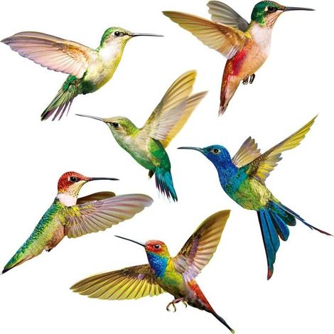 Lot de 6 autocollants anti-collision pour fenêtres, films statiques anti-oiseaux pour éviter les chocs contre les vitres (1/5)
