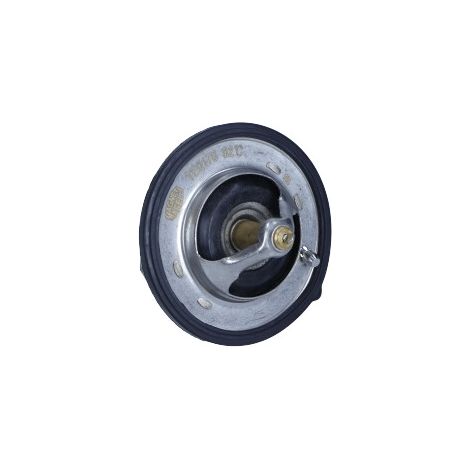 Thermostat, liquide de refroidissement Magneti Marelli 352317101760 DACIA (1/3)