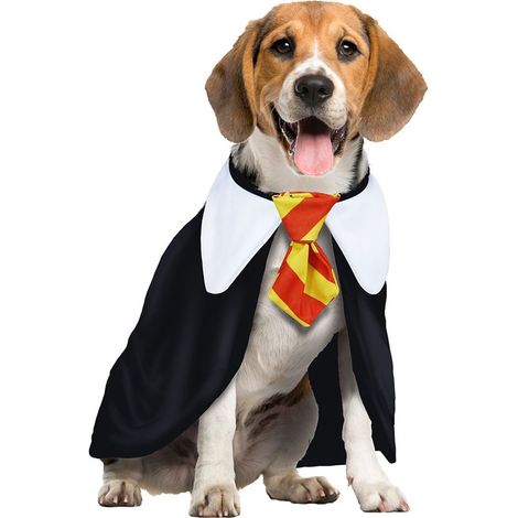 Costume per l'apprendista mago M di DOG Magic