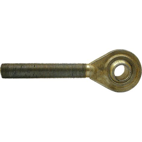 Perno filettato con testa M40 x 3 cat. 2 25,4 x 190 x 51 mm 12150 (1/2)