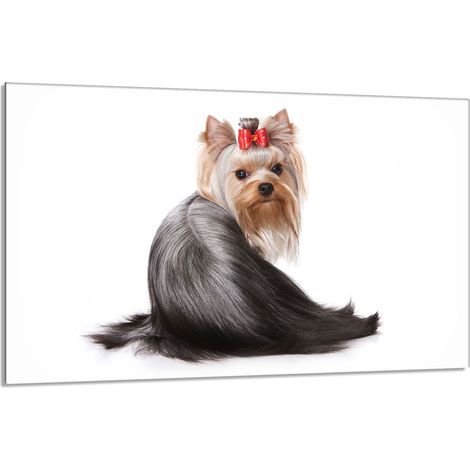 Glasschutzplatte für den Herd 80x52 Hund (1/5)