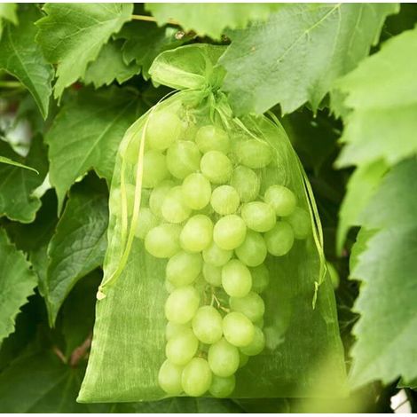 100 Sac Protection Fruits Sacs Filets Protection des Grappes de Raisins Contre Les Oiseaux et Insectes Guêpes Frelons 30 x 20 cm (1/5)