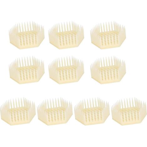 Lot de 10 cages hexagonales pour reine abeille, équipement apicole pour élevage et transport de reines
