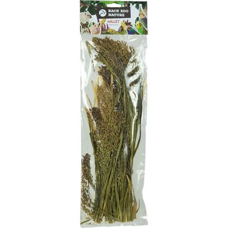 Panicum-Ähren im Bouquet von Back Zoo Nature -  Hirse-Bouquet  für alle Papageien 40g (1/5)