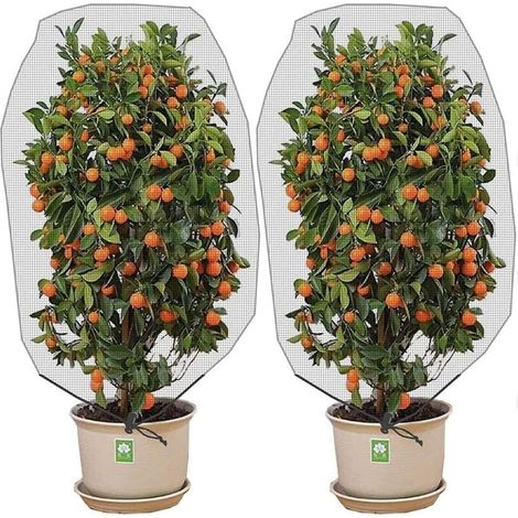 Lot de deux filets anti-insectes et anti-oiseaux avec cordon de serrage - 150 x 100 cm - Protège les plantes de jardin, les fruits, les agrumes et les fleurs des insectes et des oiseaux. (1/4)