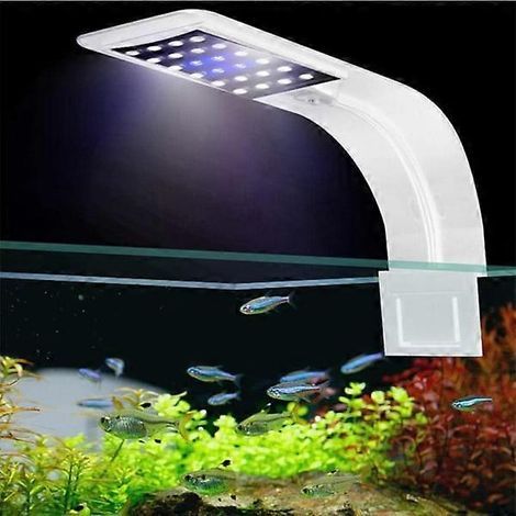 Éclairage LED nano à pince pour aquarium. lumière blanche et bleue