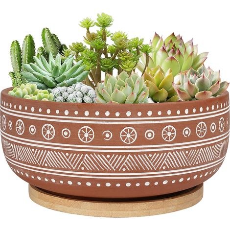 [JAMAIS UTILISÉ]pot Pot de fleurs rond en terre cuite de 20 cm avec trou de drainage et plateau en bambou, pour plantes d'intérieur (1/5)