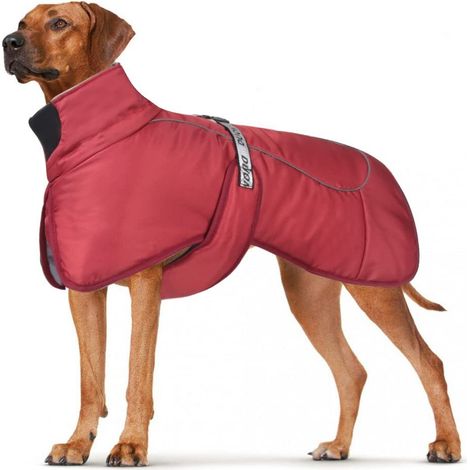Manteau d'hiver imperméable et chaud pour grand chien veste de protection contre le froid et le vent rembourrée et réfléchissante pour animaux de compagnie (1/5)