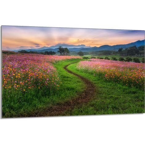Glasschutzplatte für den Herd 80x52 Berge