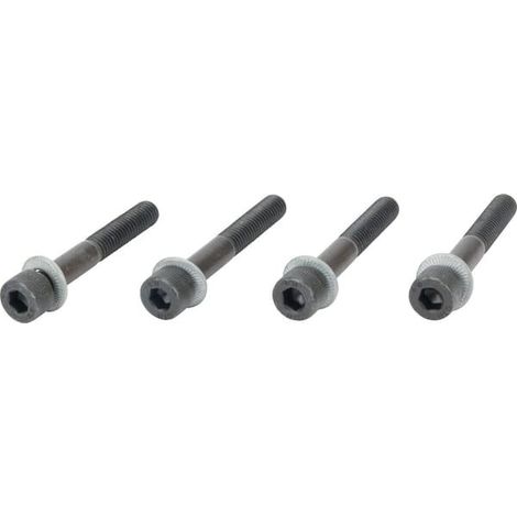 Vite per cilindro 6-PS AS-MOTOR E05322ASM
