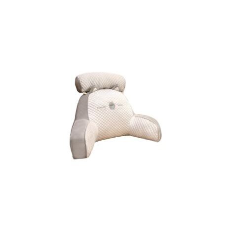 Lecture avec Accoudoirs - Lecture avec Traversin Amovible - Repose-Dos 2 en 1 pour S'asseoir dans Le Lit Confort Et Ergonomie Coussin Cale Dos Canapé (1/5)