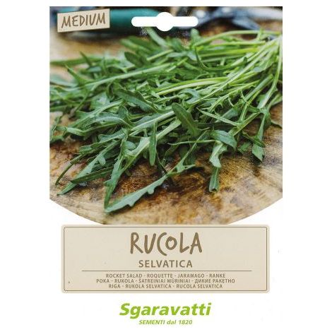 SEMI PER ORTAGGI E VEGETALI rucola selvatica 10 PZ