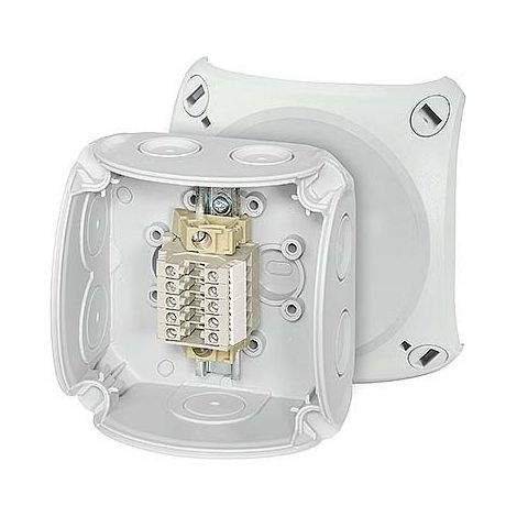 HENSEL SÉRIE BORNES BOÎTE RK 0205 T 5 BORNES 2,5QMM BOÎTE, BOÎTIER POUR MONTAGE SUR LE MUR/PLAFOND 4012591125631