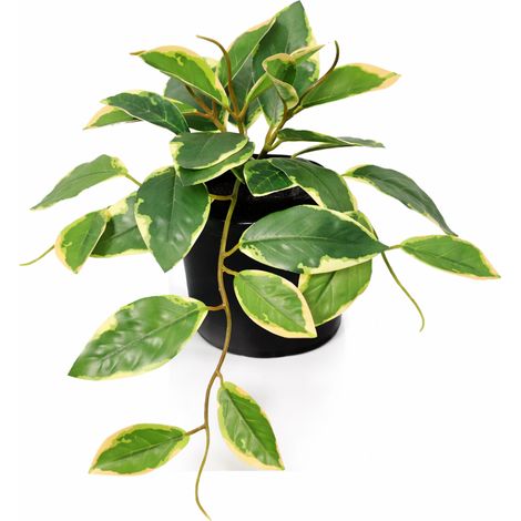 Plante Artificielle Hoya Variegata pour Décoration Intérieure Feuillage Panaché Vert - 23 cm - PANGIVO