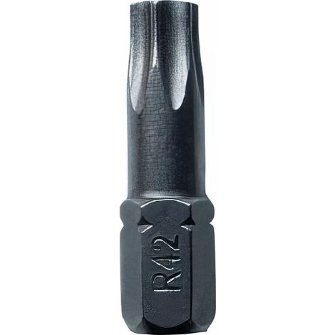 20 embouts forge torx longueur : 25 - TX15