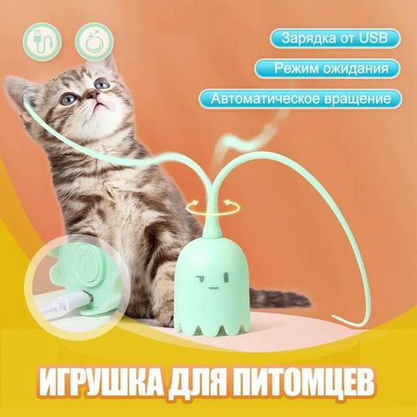 interaktives Angebot für Katzen und Hunde