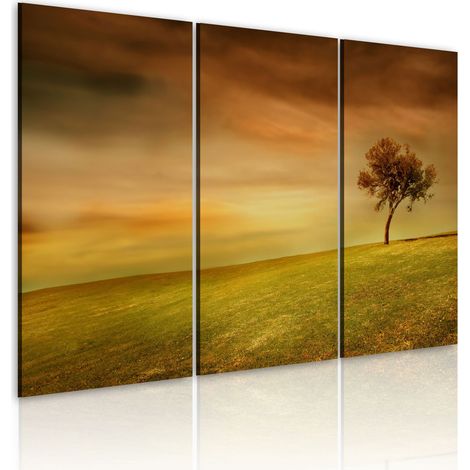 Quadro - Albero solitario in una radura - 60x40 (1/4)