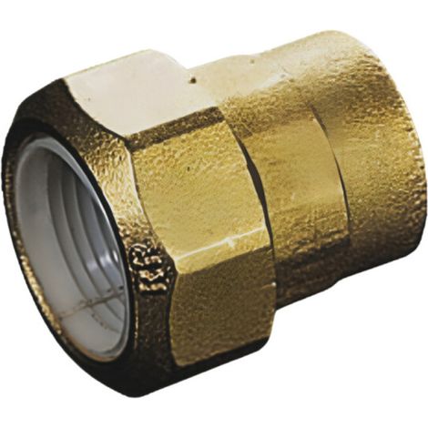 Raccordo per tubo in acciaio 12x17 femmina, manicotto di riparazione in ottone