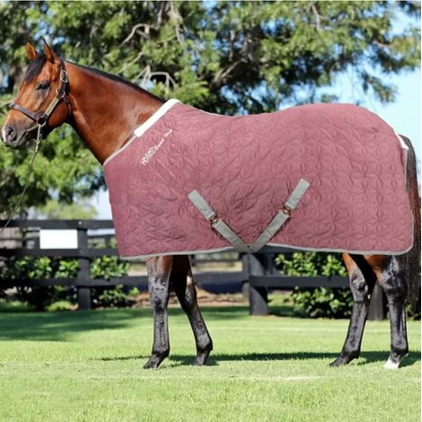 120 cm, Rosa: Coperta da box per cavalli modello Horses Quazar Velvet imbottitura 160 g