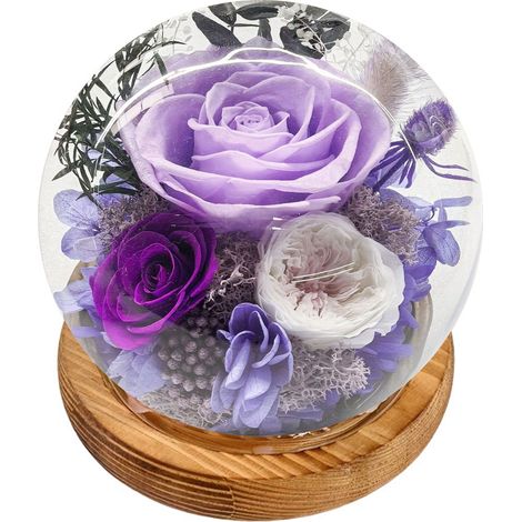 Fleurs séchées sous dôme verre avec LED, roses naturelles préservées, idéal cadeau femme/événement (1/5)