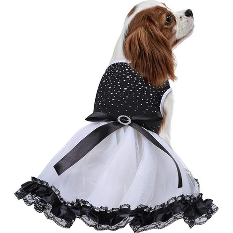 1 robe pour chien, coton noir, taille S (longueur dos 28 cm, tour poitrine 28 cm, tour cou 18 cm), pour fêtes et occasions spéciales (1/5)