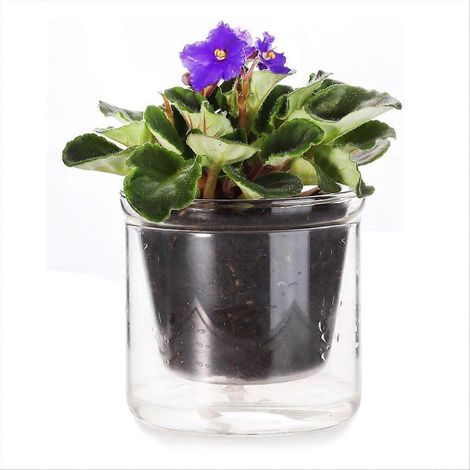 4 pouces Self arrosage pot African Violet pot Bottom arrosage verre jardinière pour plantes d intérieur et Progagation (1/5)