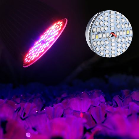 Ampoule LED 60 W à spectre complet pour la culture hydroponique de plantes et de fleurs (85-265 V). (1/5)