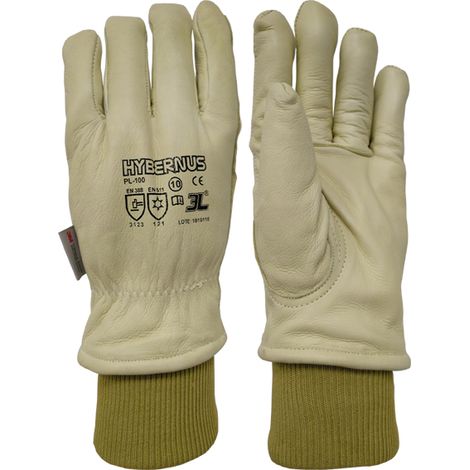 Guante térmico frío Hybernus 3L T-9 (1/7)