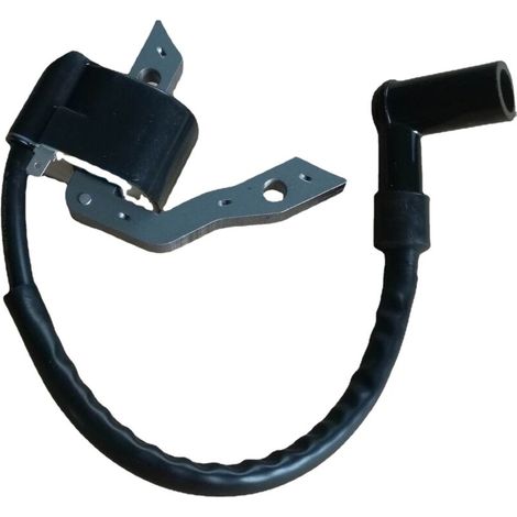 Bobine d'allumage bobine d'allumage haute tension et allumeur pour EX27 EX30 compatible. (1/4)