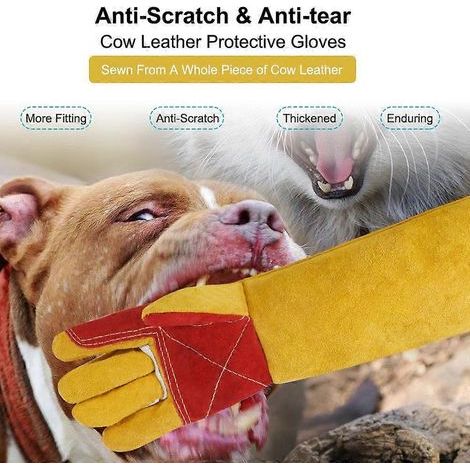Tierhandschuhe, 60 cm (23,6 Zoll), bissfest, Leder, für Katzen, Hunde, Vögel, Schlangen, vielseitig einsetzbar (1/4)