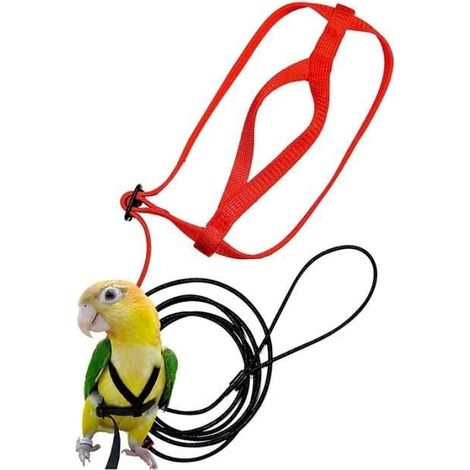 Harnais et Laisse pour Oiseaux, Laisse pour Harnais RéGlable pour Perroquet - Corde de Dressage pour Animaux de Compagnie