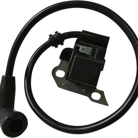Bobine d'allumage pour souffleur à dos Stihl BR340 BR340 L BR380 BR420 BR420 C SR340 SR420 avec bougie d'allumage, pièces de rechange 4203 400 1302 (1/5)