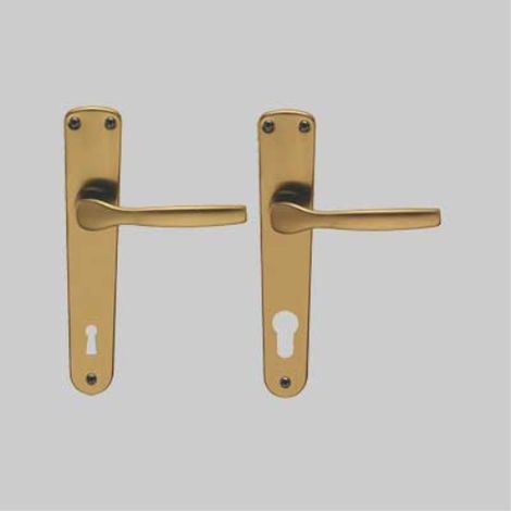 Maniglia 'ginevra' con placca foro yale - colore argento BRIALMA