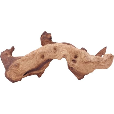 M Mopani Wurzel Nr.4797 Holz Deko Aquascaping