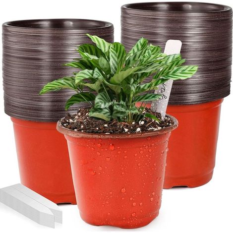 100 pots de pépinière en plastique 4 pouces – Pots pour semis et plantations d’intérieur et extérieur, avec 100 étiquettes pour plantes (1/5)