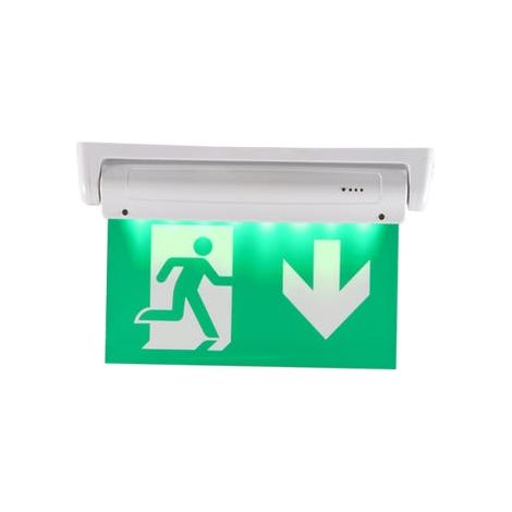 Luce di emergenza bifacciale da 3W, pittogramma in basso, per montaggio a soffitto o a parete (1/2)