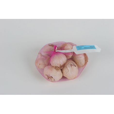 Vilmorin Ail Edenrose - 500 g