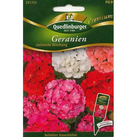Quedlinburger Geranien stehende Mischung - Blumensamen (1/2)